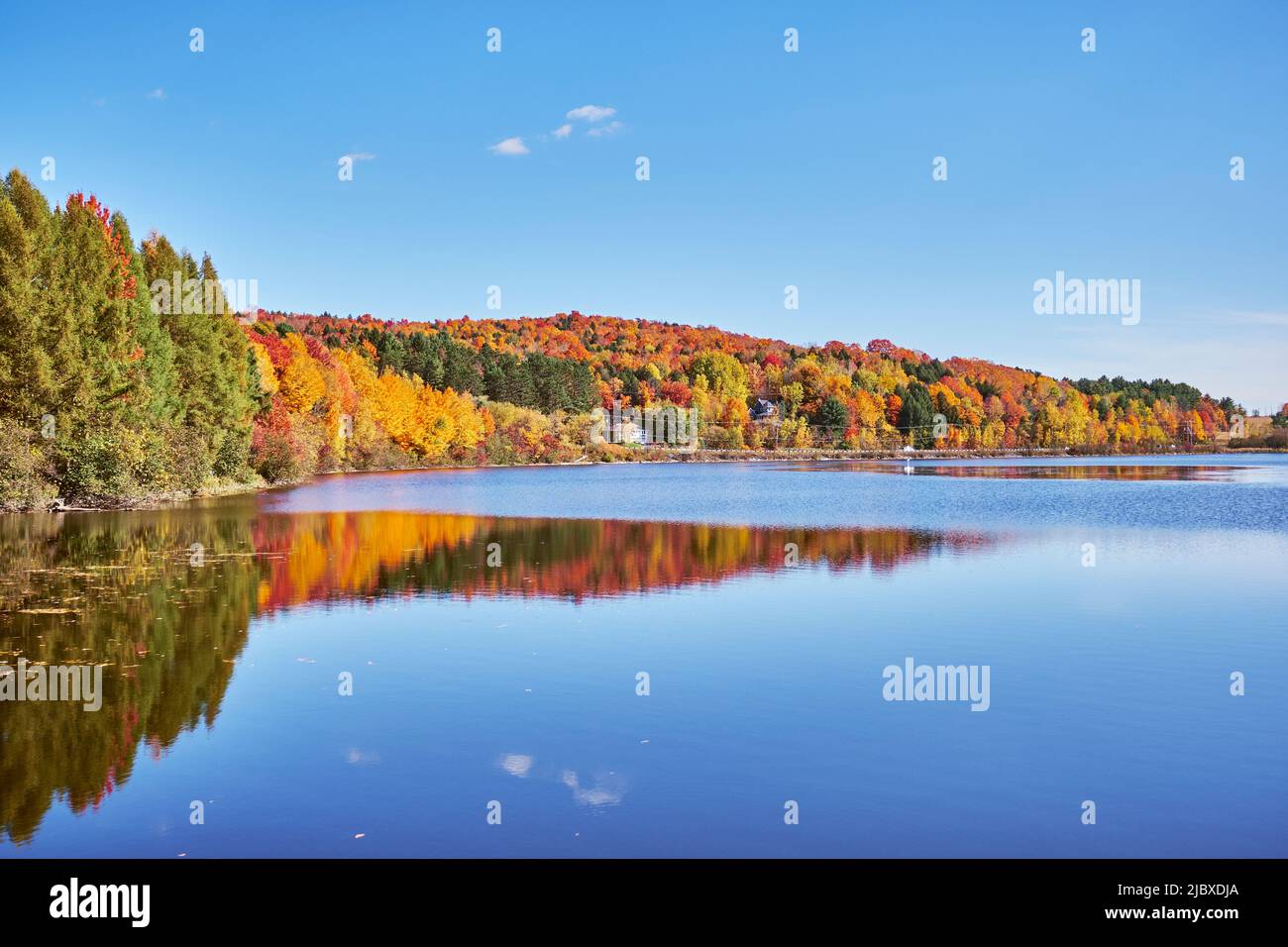 Lac avec forêt colorée pendant la saison d'automne, Estrie, Québec, Canada, 2019 Banque D'Images