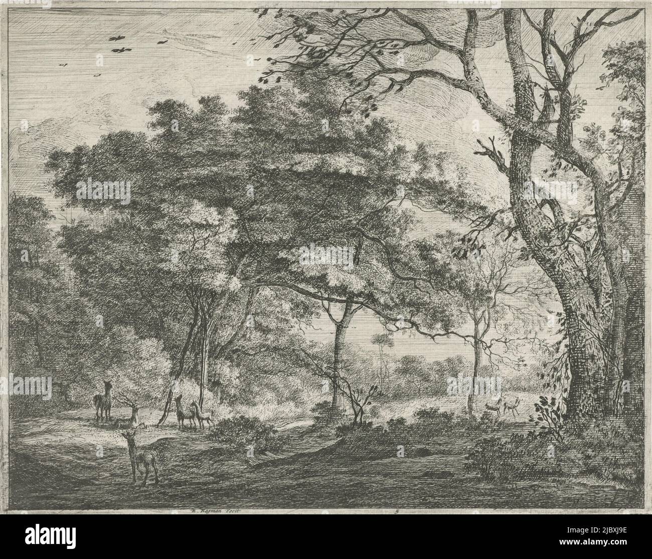 Quelques cerfs se trouvent dans une clairière de la forêt de la Haye. À droite, deux cerfs traversent un champ., Deer dans la forêt de la Haye, imprimerie: Roelant Roghman, (mentionné sur l'objet), Amsterdam, 1637 - 1692, papier, gravure, h 207 mm × l 262 mm Banque D'Images