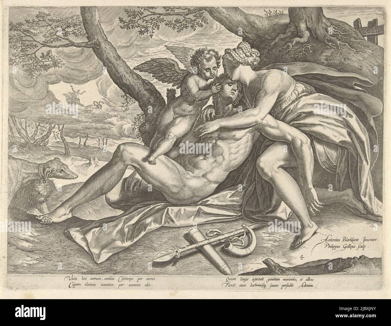 Vénus et Amor pleurent la mort d'Adonis. Vénus tient son amant dans les bras. Les armes de chasse d'Adonis se trouvent à côté de lui sur le sol. Ses chiens de chasse s'assoient à ses pieds. En arrière-plan, Vénus flotte dans le ciel dans son char de triomphe. L'imprimé a une légende latine et fait partie d'une série sur la vie d'Adonis, Vénus pleure la mort d'Adonis l'histoire d'Adonis (titre de la série), imprimeur: Philips Galle, (mentionné sur l'objet), Anthonie Blocklandt, (mentionné sur l'objet), imprimeur: Anvers, Utrecht, c. 1577 - c. 1581, papier, gravure, h 225 mm × l 303 mm Banque D'Images
