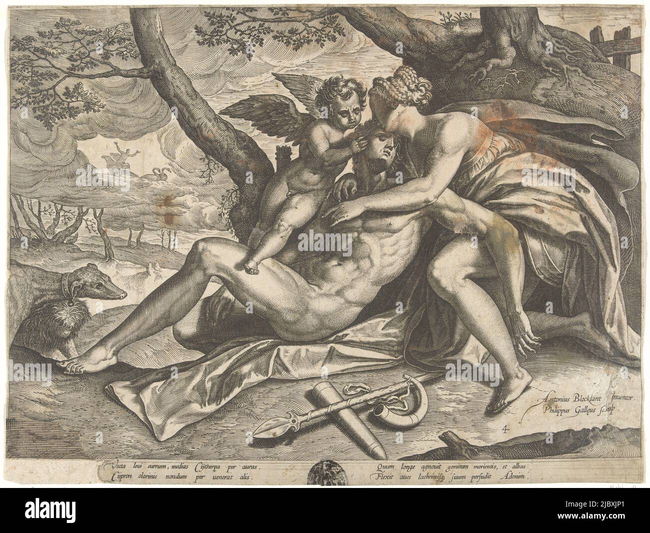 Vénus et Amor pleurent la mort d'Adonis. Vénus tient son amant dans les bras. Les armes de chasse d'Adonis se trouvent sur le sol à côté de lui. Ses chiens de chasse s'assoient à ses pieds. En arrière-plan, Vénus flotte dans le ciel dans son char de triomphe. L'imprimé a une légende latine et fait partie d'une série sur la vie d'Adonis, Vénus pleure la mort d'Adonis l'histoire d'Adonis (titre de la série), imprimeur: Philips Galle, (mentionné sur l'objet), Anthonie Blocklandt, (mentionné sur l'objet), imprimeur: Anvers, Utrecht, c. 1577 - c. 1581, papier, gravure, h 224 mm × l 298 mm Banque D'Images