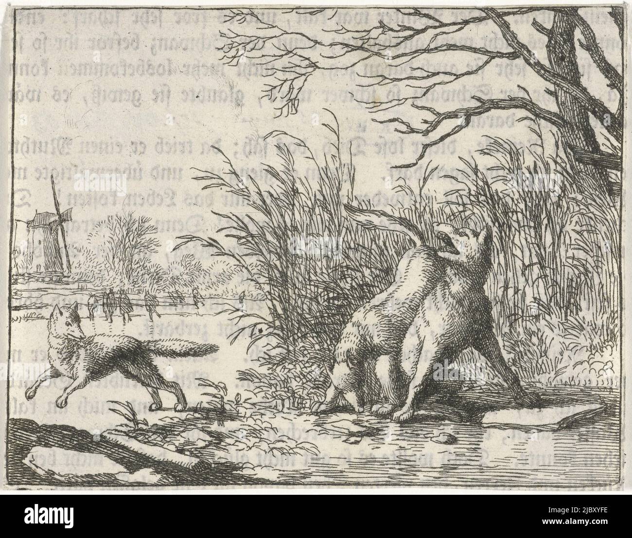 Un renard a son museau sur la patte d'un loup hurlant. Sur l'eau gelée, un second renard s'écoule. Au dos de l'imprimé un fragment de texte allemand de l'histoire de Reinaert le Fox, Paysage avec deux renards et un loup Une autre accusation par le loup Reinaert le Fox illustrations pour Reijntje de vos , imprimerie: Allaert van Everdingen, pays-Bas, 1631 - 1675, papier, gravure, h 91 mm × l 115 mm Banque D'Images