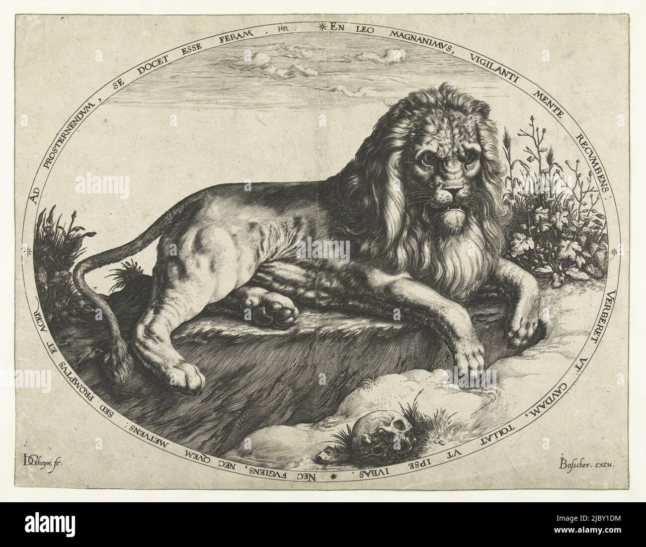 Représentation ovale d'un lion situé près d'un crâne. Autour de la représentation un lettrage de bord latin, le lion, imprimeur: Jacob de Gheyn (II), (mentionné sur l'objet), Heyman Jacobi, (mentionné sur l'objet), éditeur: Joos de Bosscher, (mentionné sur l'objet), imprimeur: Pays-Bas, éditeur: Amsterdam, 1588 - 1592, papier, gravure, h 267 mm × l 345 mm Banque D'Images Représentation ovale d'un lion situé près d'un crâne. Autour de la représentation un lettrage de bord latin, le lion, imprimeur: Jacob de Gheyn (II), (mentionné sur l'objet), Heyman Jacobi, (mentionné sur l'objet), éditeur: Joos de Bosscher, (mentionné sur l'objet), imprimeur: Pays-Bas, éditeur: Amsterdam, 1588 - 1592, papier, gravure, h 267 mm × l 345 mm Banque D'Images