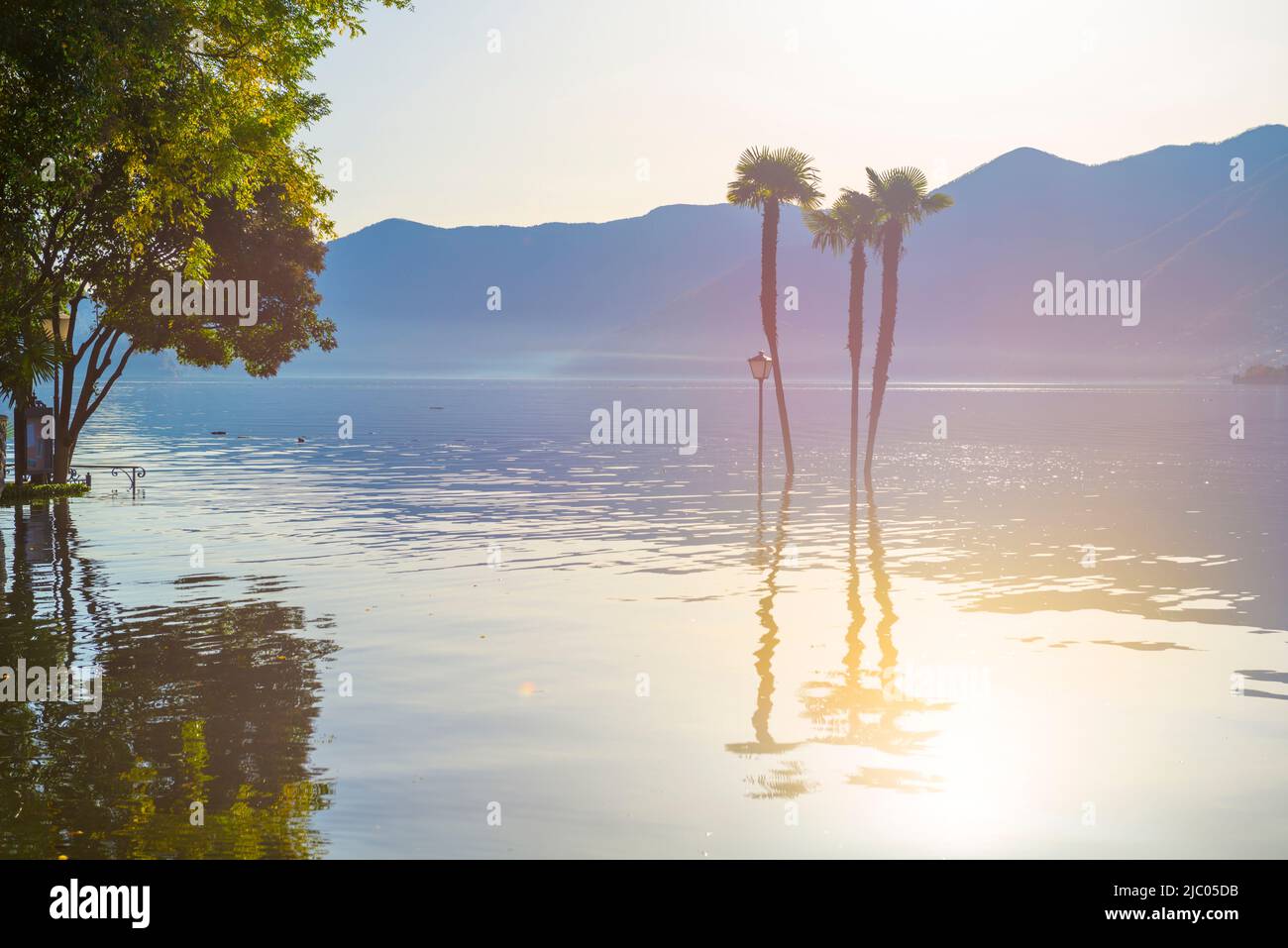 Inondation du lac majeur alpin avec un palmier lors d'une journée ensoleillée avec la montagne à Ascona, en Suisse. Banque D'Images