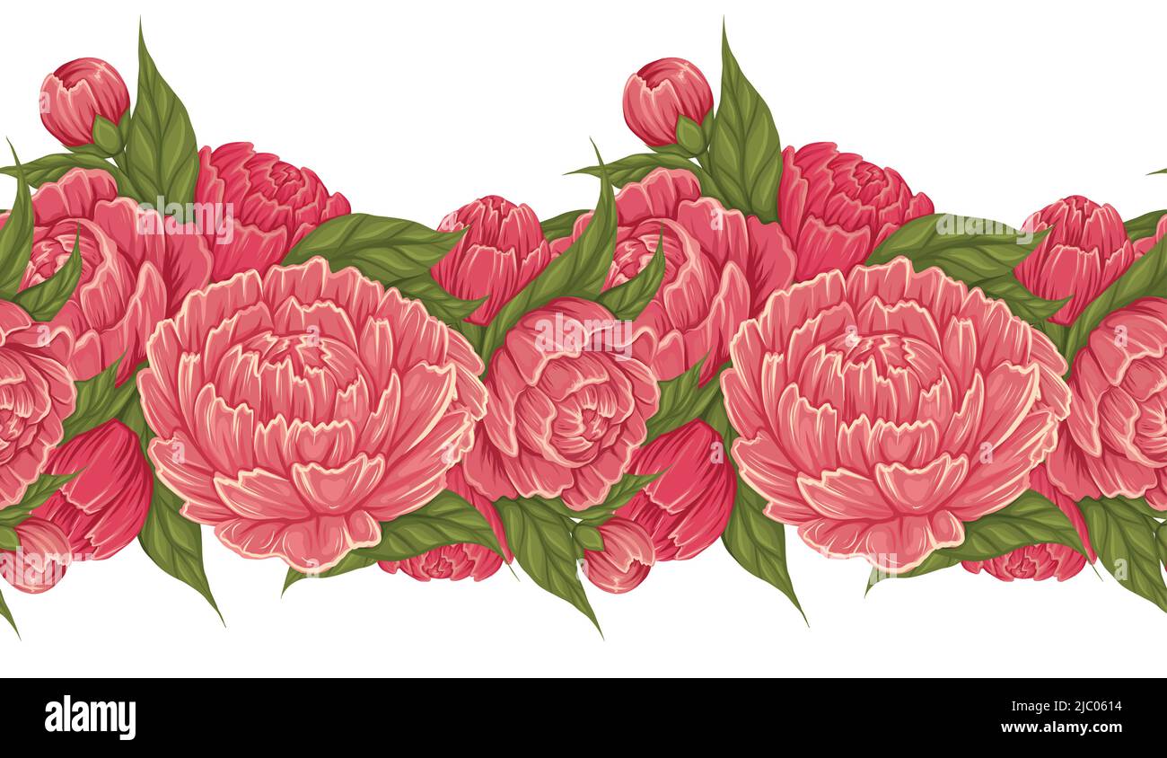 Bordure vectorielle sans couture avec fleurs de pivoine avec feuillage isolé de l'arrière-plan. Cadre à composition florale. Frise botanique Illustration de Vecteur