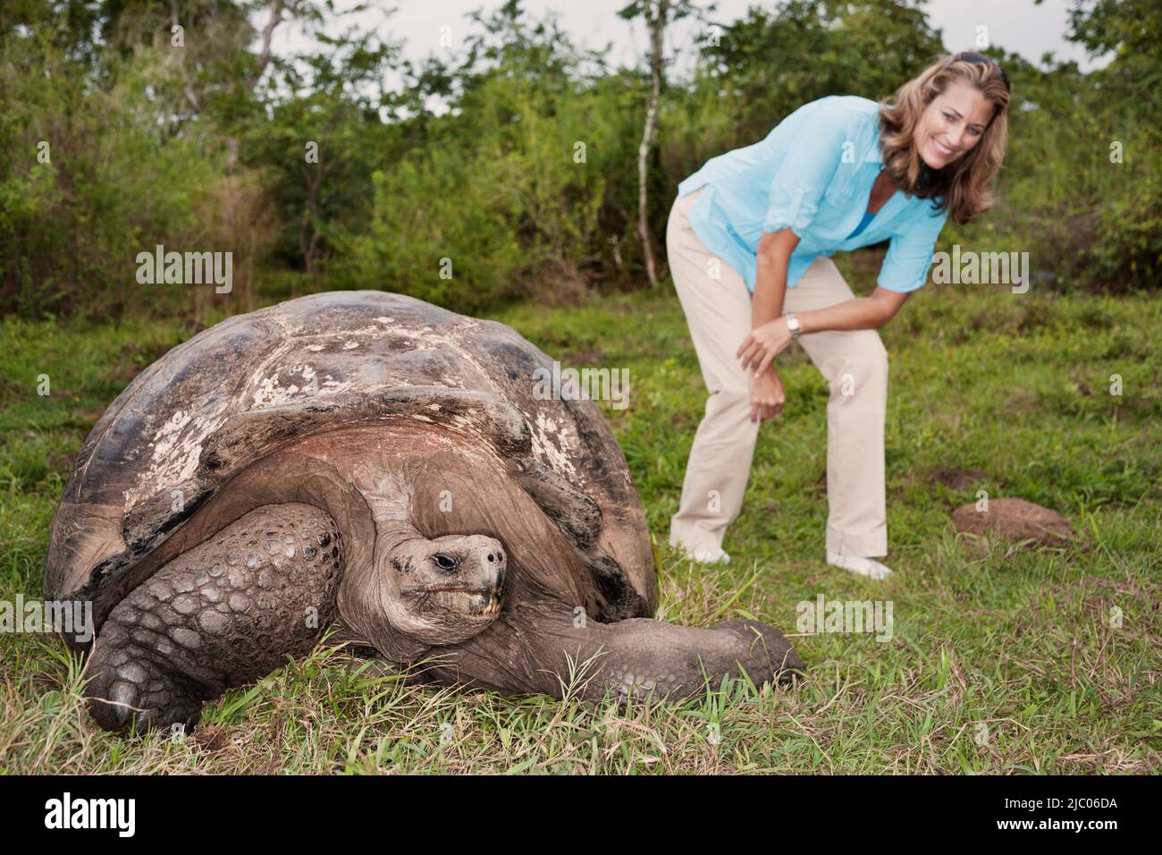 Equateur, Îles Galapagos, femme debout dans l'herbe près de la tortue géante Banque D'Images