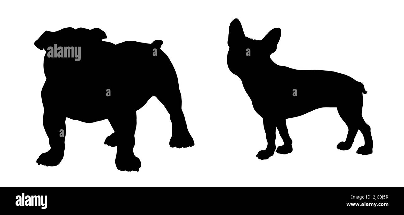 Dessin de silhouette de buldogs français et anglais. Illustration isolée avec chiens. Banque D'Images