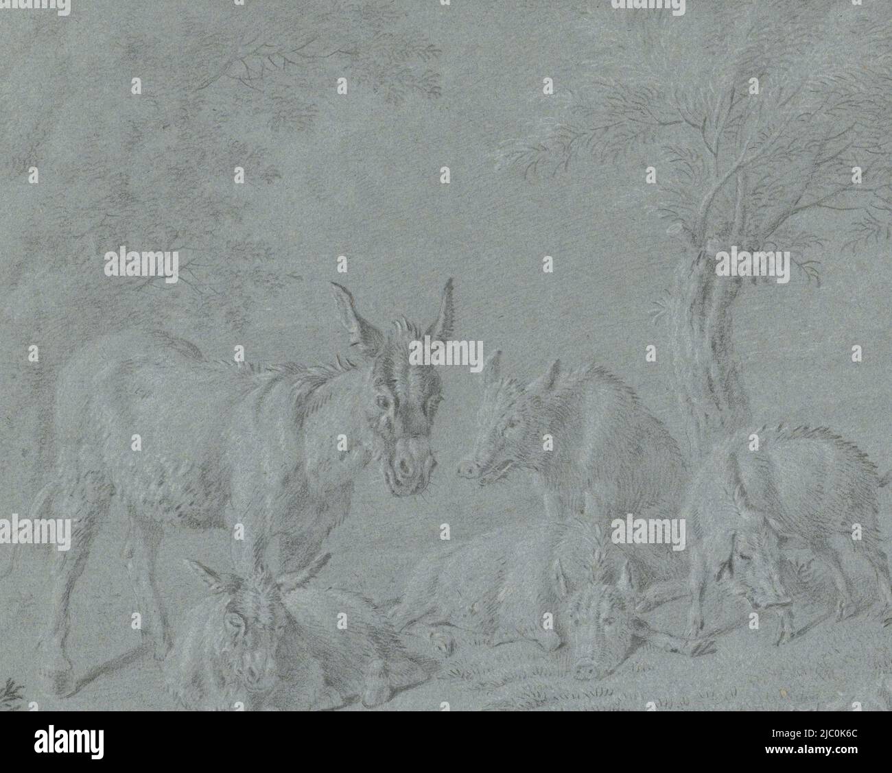 Cochons et ânes sous arbres, rapporteur pour avis: Jan van Gool, 1695 - 1763, papier, h 210 mm × l 264 mm Banque D'Images