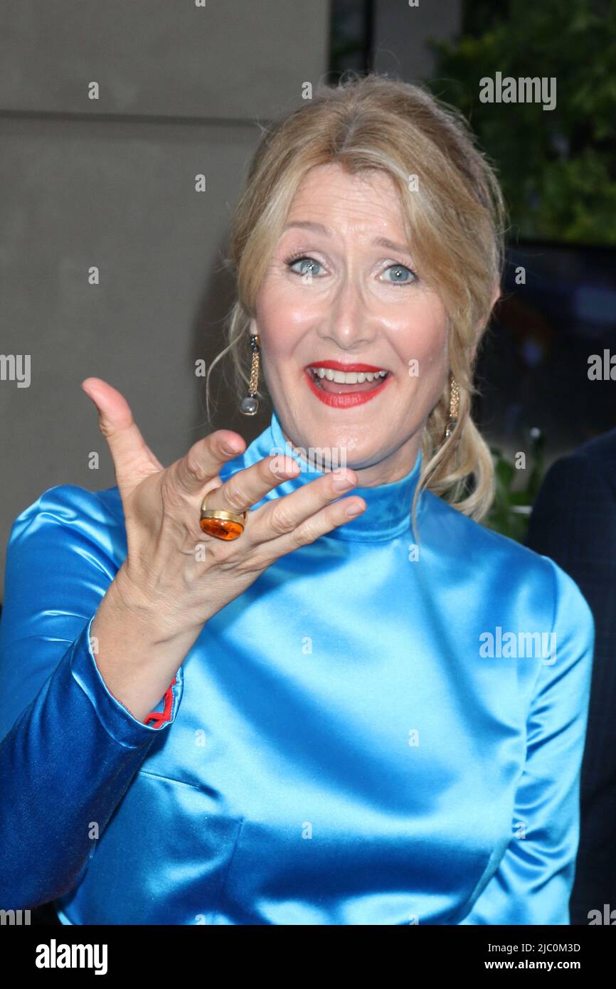 6 juin 2022, Los Angeles, CA, Etats-Unis: LOS ANGELES - JUIN 6: Laura Dern à la première mondiale jurassique du Dominion au Théâtre chinois de TCL IMAX sur 6 juin 2022 à Los Angeles, CA (image de crédit: © Kay Blake/ZUMA Press Wire) Banque D'Images