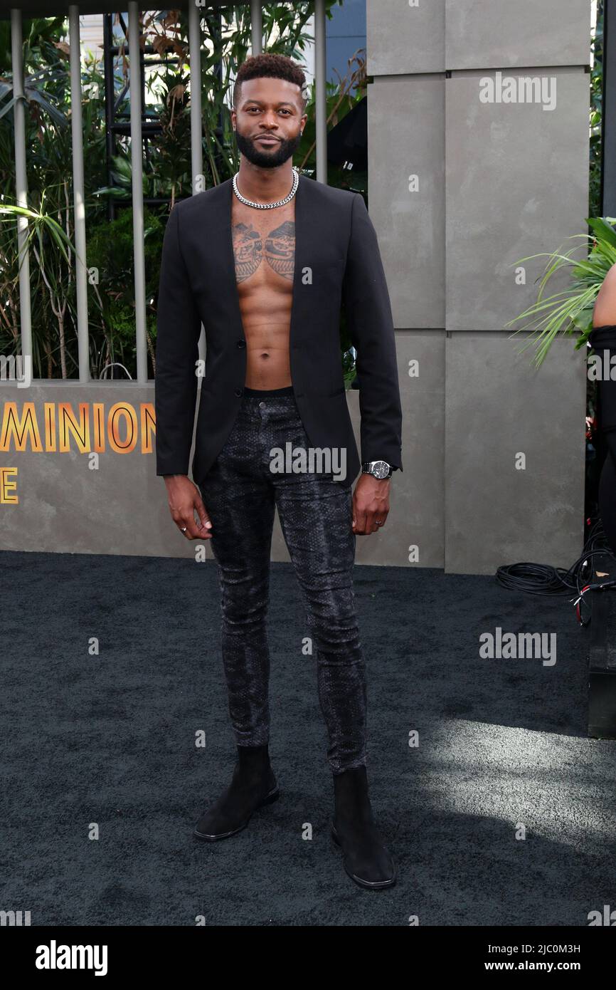 Ardoise brune alonzo Banque de photographies et d’images à haute