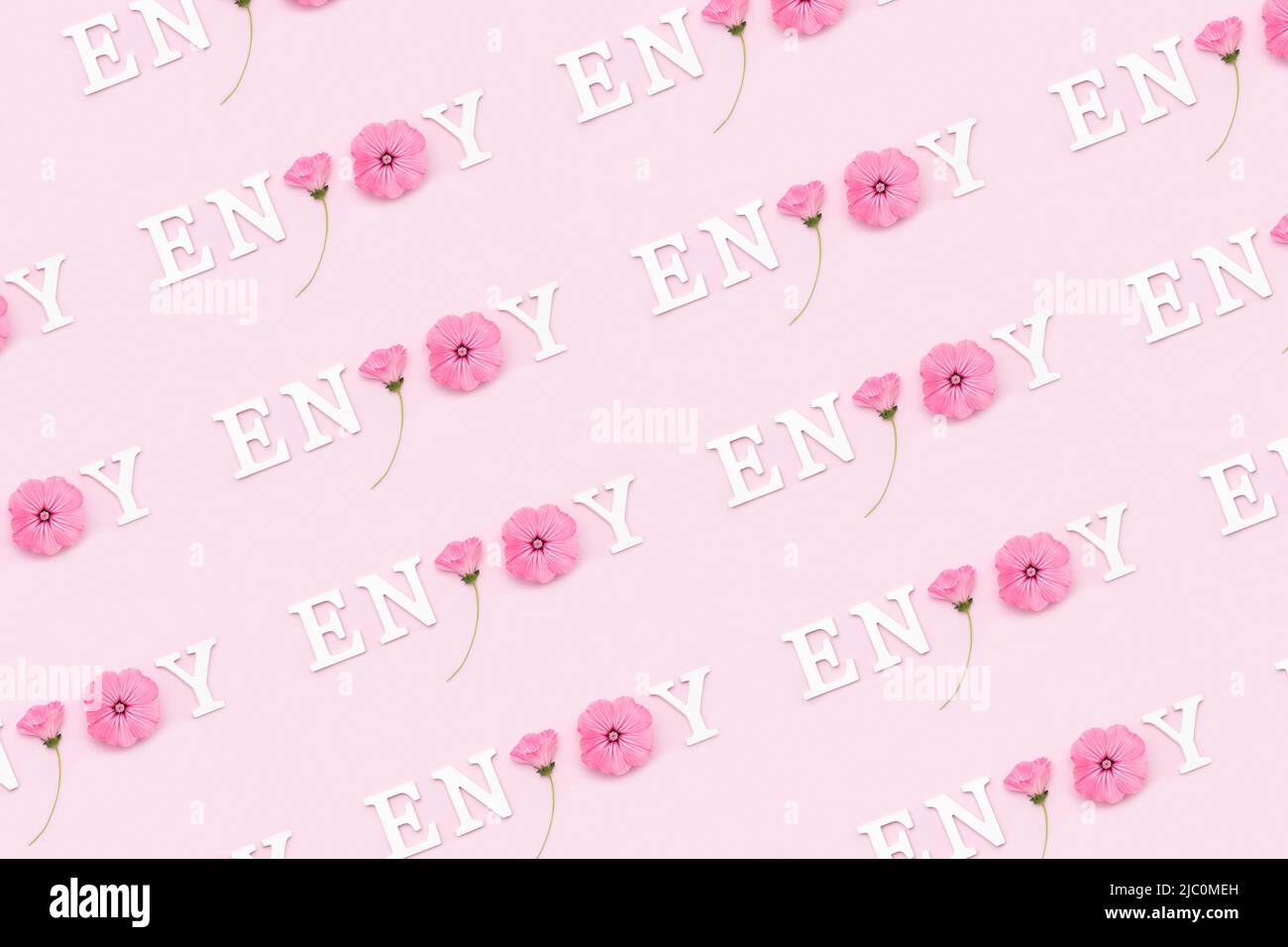 Profitez-en. Motif créatif inspiré composé de citations motivationnelles de lettres blanches et de fleurs naturelles de beauté sur fond rose. Banque D'Images