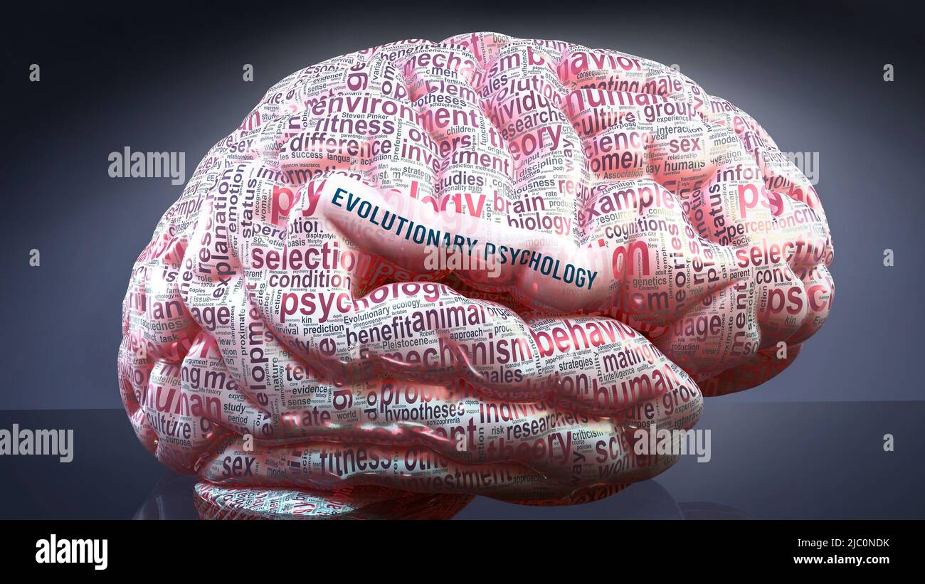 Psychologie évolutive dans le cerveau humain, des centaines de termes liés à la psychologie évolutive projetés sur un cortex pour montrer une large étendue de ce cond Banque D'Images