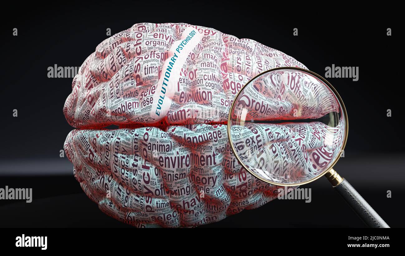 Psychologie évolutive dans le cerveau humain, des centaines de termes liés à la psychologie évolutive projetés sur un cortex pour montrer une large étendue de ce topi Banque D'Images