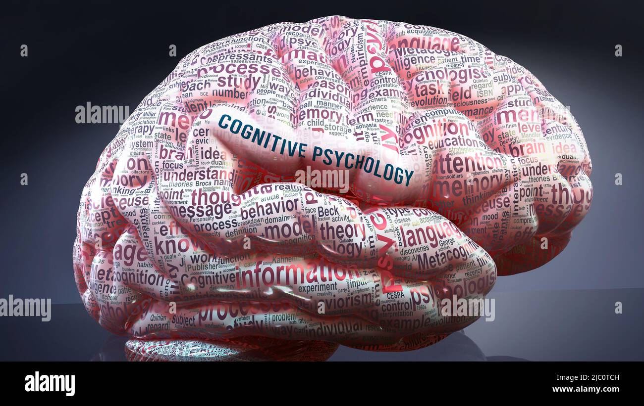 Psychologie cognitive dans le cerveau humain, des centaines de termes liés à la psychologie cognitive projetés sur un cortex pour montrer une large étendue de cette condition, Banque D'Images