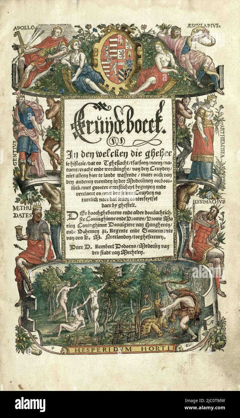 Le livre d'herbes de Rembert Dodoens, intitulé: Cruijdeboeck dans le welcken toute l'histoire, qui est tgheslacht, tfatsoen, naem, natuere, cracht en ercking, des cruides, non seulement se levant ici dans le pays, mais aussi des autres qui craignaient dans le cœur de leurs collègues, compris avec beaucoup d'humilité et déclaré. Le livre est décoré avec 7 pages de titre et 715 représentations de plantes et d'herbes. En outre, les initiales et autres ornements en bois coupé. Toutes les boiseries sont colorées à la main par Hans Liefrinck le jeune. Reliure en cuir avec une couverture avant et arrière, Dodoens Cruijdeboeck avec Banque D'Images