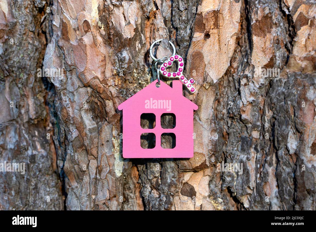 Petite clé décorée de strass ayant un porte-clés en forme de maison rose accroche sur un tronc d'arbre à l'extérieur. Concept de maison douce. Banque D'Images