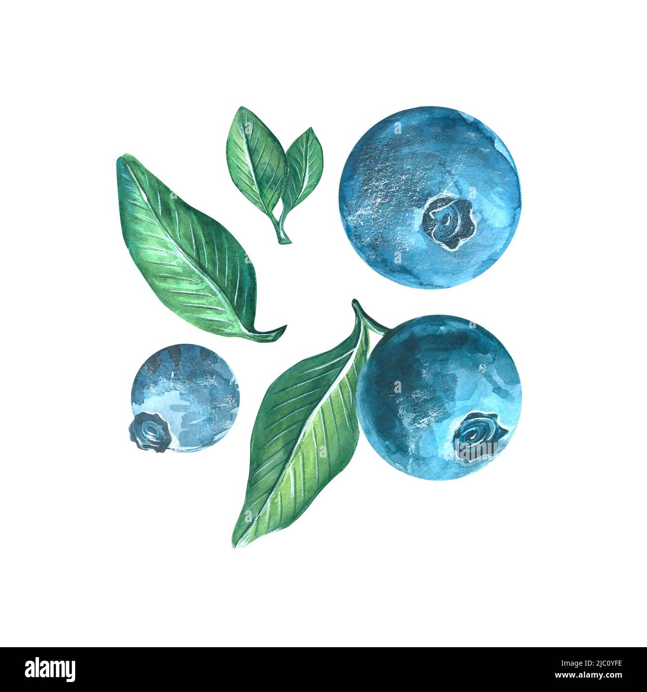 Illustration aquarelle isolée sur le thème d'un bar de plage. Banque D'Images