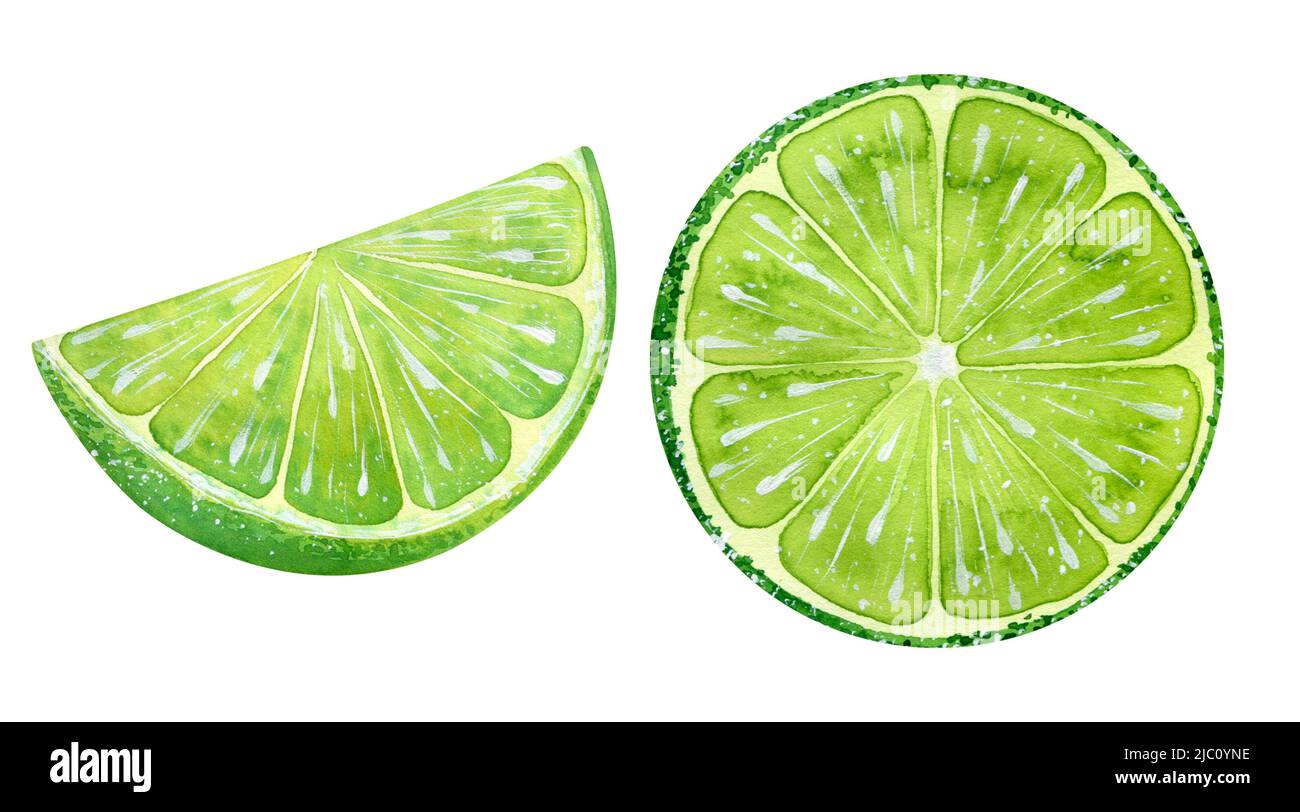 Illustration aquarelle de la chaux isolée de fruits dessinés à la main Banque D'Images