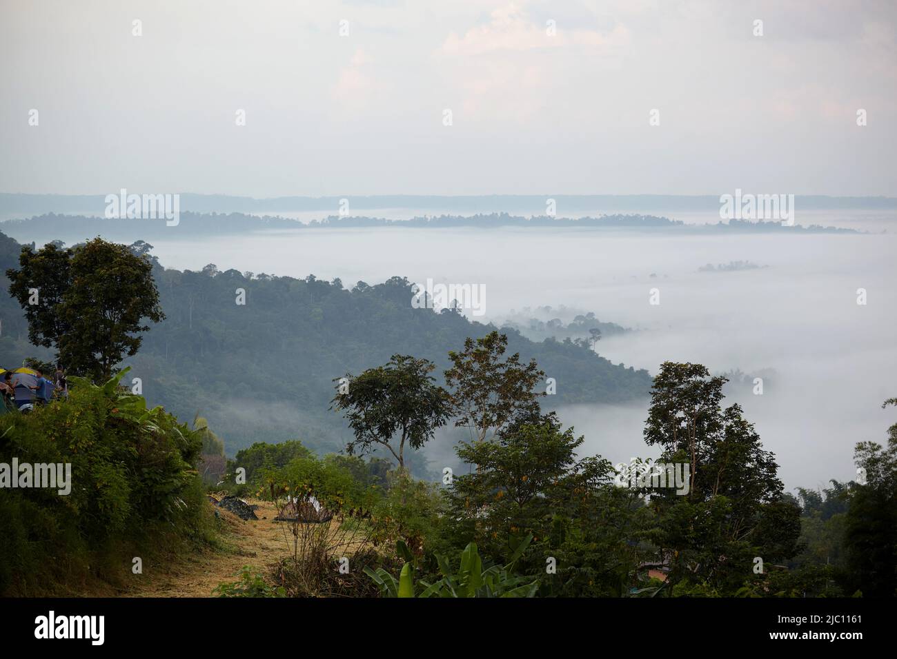 Tente touristique de camping avec brouillard en début de matinée Banque D'Images