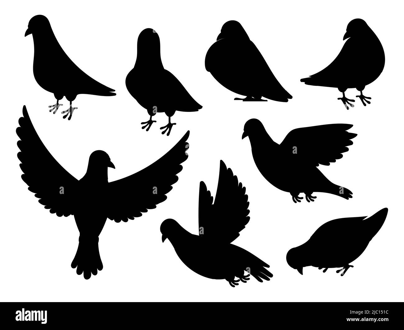 Silhouette de Pigeon. Oiseau noir volant debout, silhouette de colombe isolée sur blanc. Collection de formes animales vectorielles Illustration de Vecteur