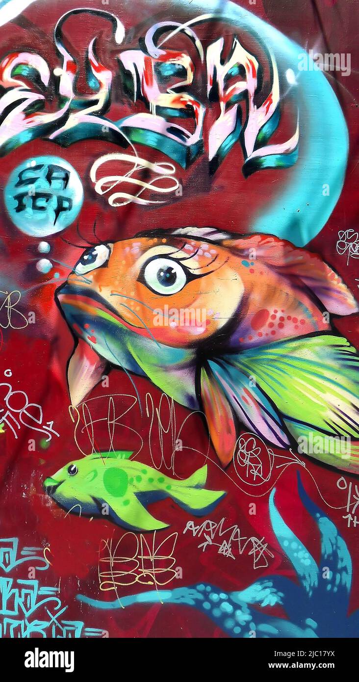 Graffiti coloré sur un mur de maison, poisson rouge, Portugal Banque D'Images