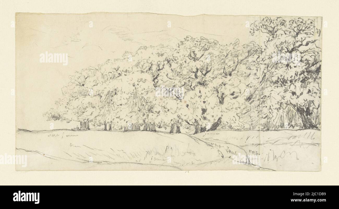 Croquis d'une bordure forestière, dessinateur: Théodore Rousseau, 1822 - 1867, papier, h 90 mm × l 175 mm Banque D'Images