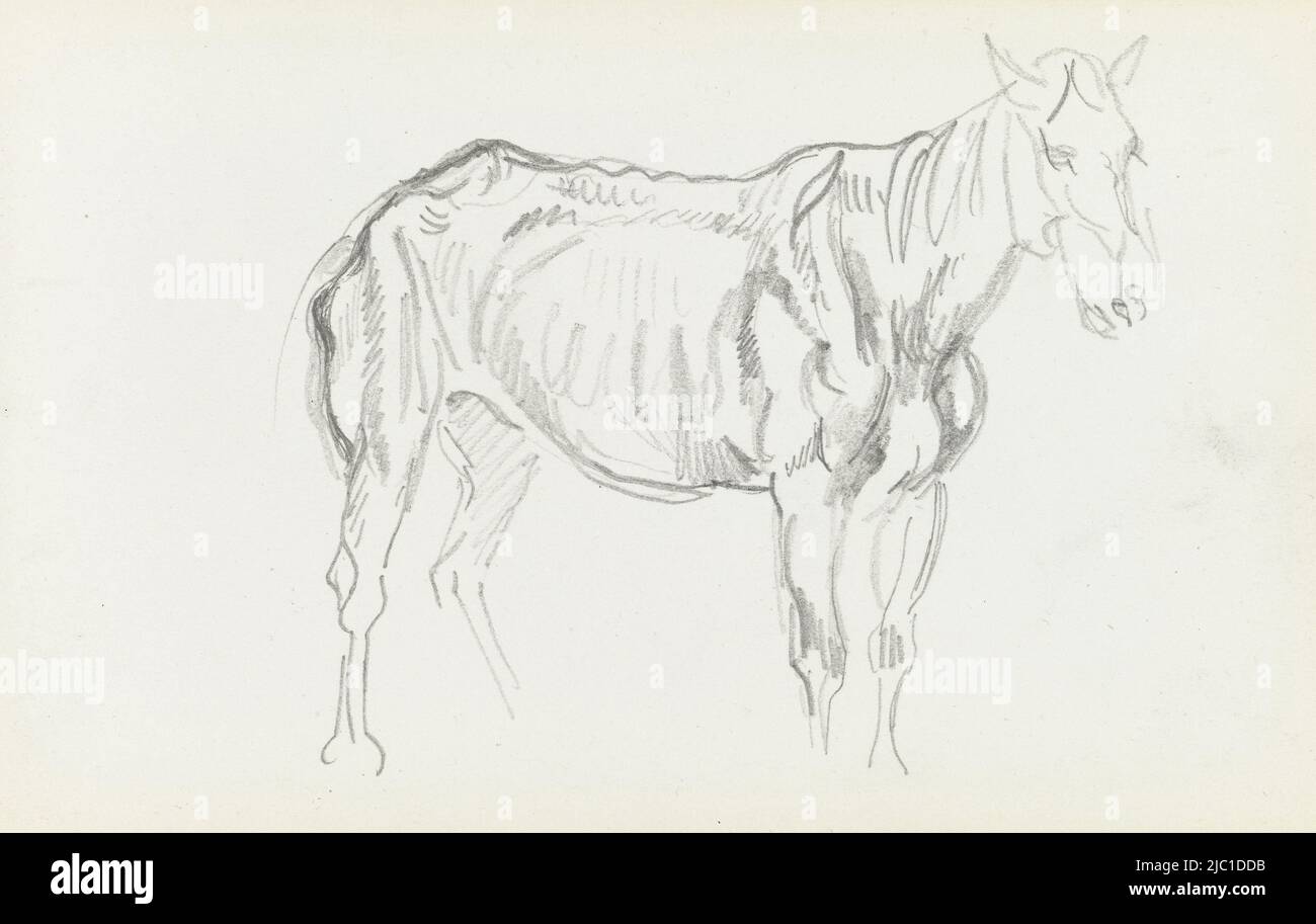 Page 40 dans le carnet de 1852/54 composé de 46 pages, dont 43 sont destinés, croquis d'un cheval, dessinateur: Eugène Delacroix, 1852 - 1854, papier, h 100 mm × l 155 mm Banque D'Images