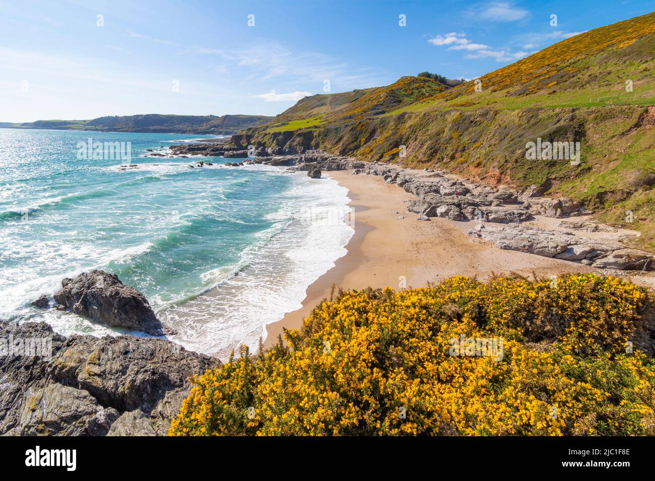 Vue sur le paysage de Mattiscombe Sands, Kingsbridge - Devon, Royaume-Uni Banque D'Images