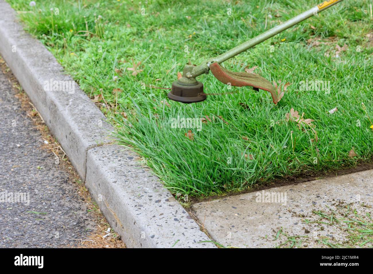 Processus de coupe de l'herbe verte avec le coupe-herbe sur la tête rotative Banque D'Images