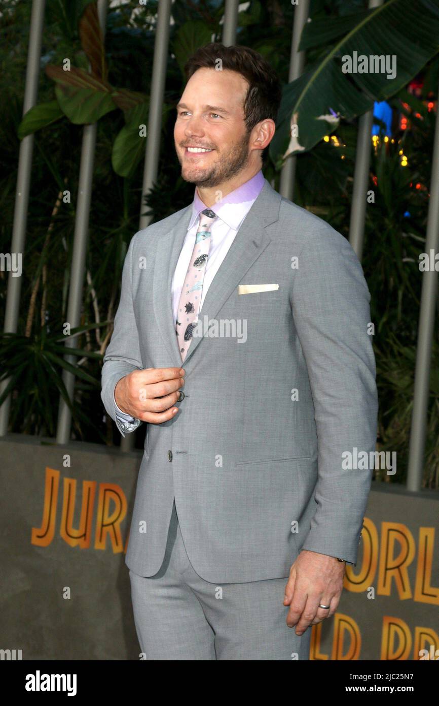 Los Angeles, Californie. 6th juin 2022. Chris Pratt est à l'arrivée de JURASSIC WORLD DOMINION Premiere, TCL Chinese Theatre, Los Angeles, CA 6 juin 2022. Crédit : Priscilla Grant/Everett Collection/Alay Live News Banque D'Images