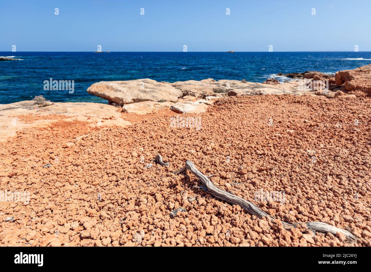 Racine de plante séchée sur une surface de pierre sans vie d'une roche autrefois étirée vers la mer, Ibiza, Iles Baléares, Espagne Banque D'Images