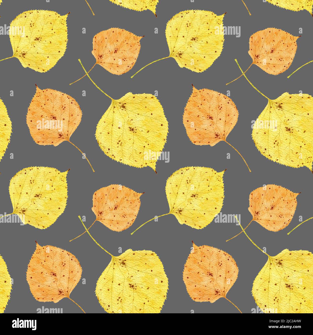 Motif d'automne aquarelle avec feuilles de tilleul. Feuille d'automne de Linden sur fond sombre. Herbarium. Motif automnal sans coutures avec feuilles. Automne. Banque D'Images