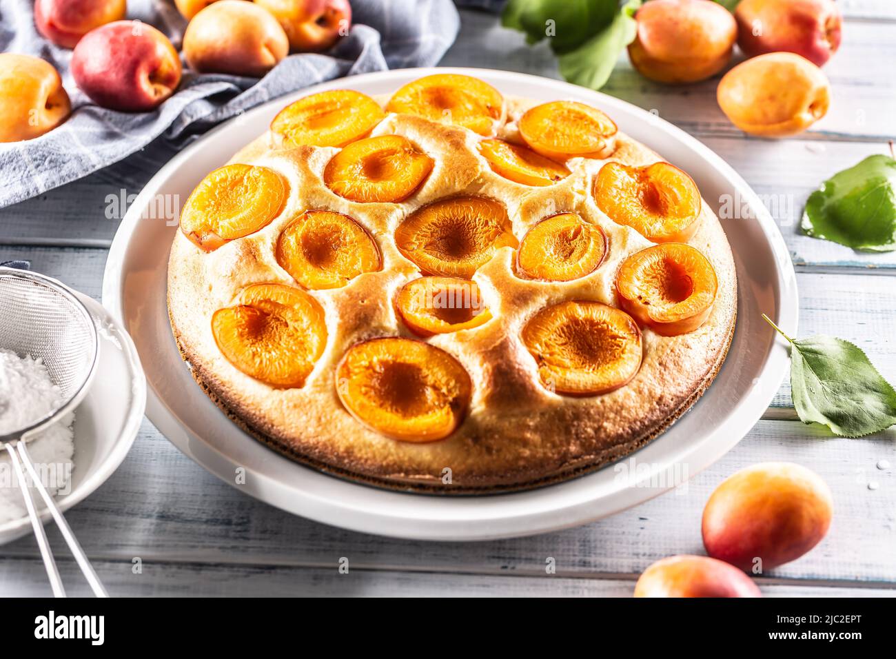 Pongez le gâteau à l'abricot sur la table de cuisine avec de la poudre de sucre. Banque D'Images