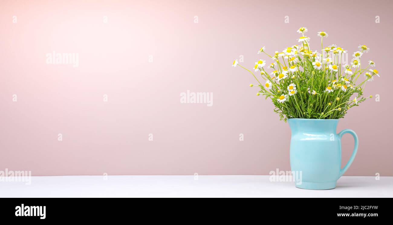 Bouquet de pâquerettes dans une carafe bleue sur fond rose Banque D'Images