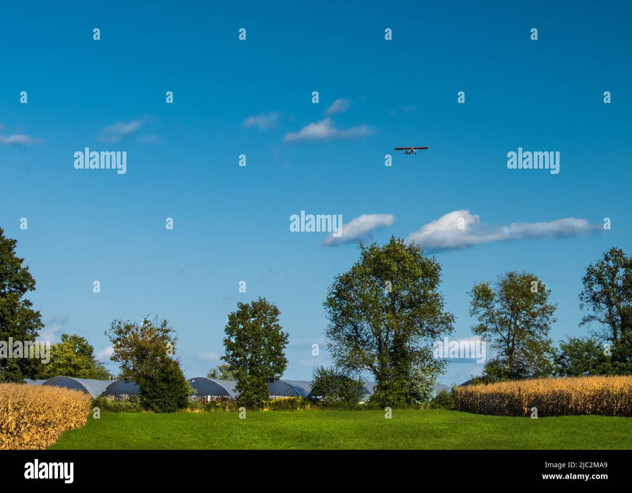Un champ de fermier vert avec des champs de maïs de chaque côté, une ligne d'arbres en arrière-plan, et un avion dans un grand ciel bleu, été, Pennsylvanie Banque D'Images