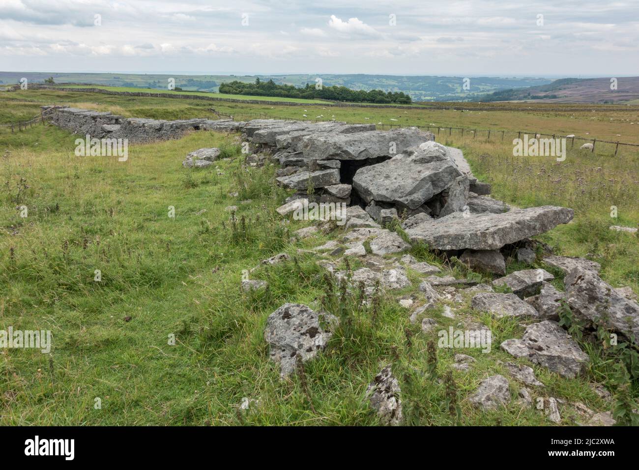 Le long conduit de combustion, qui fait partie des vestiges de Toft Gate Lime Kiln, Pateley Bridge, North Yorkshire, Royaume-Uni. Banque D'Images