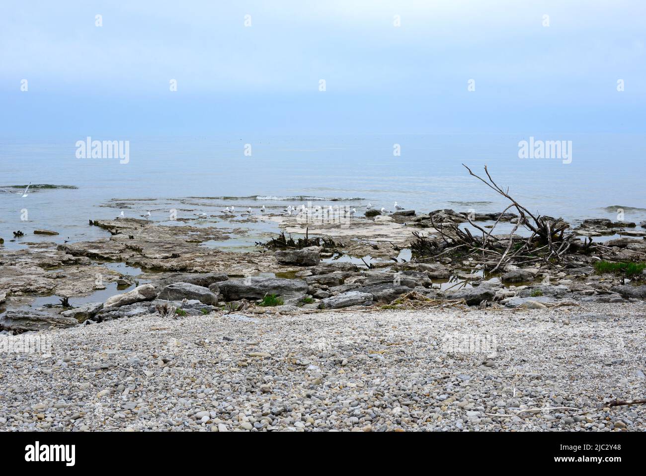 La rive du lac Érié et les plages font partie des Grands Lacs. Lacs d'eau douce plages et images du bord de mer dans le sud-ouest de l'Ontario Canada. Banque D'Images