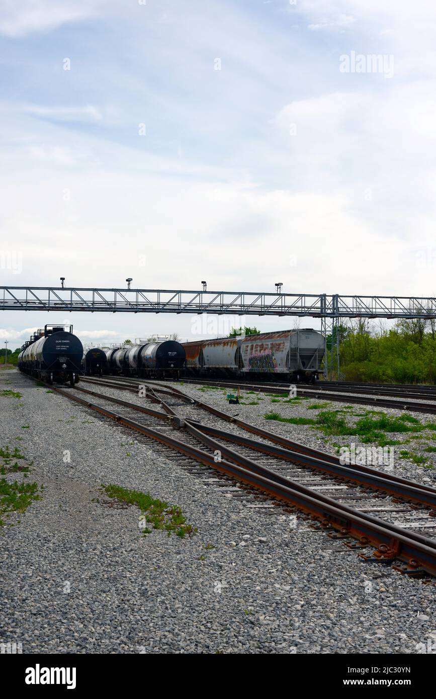 Wagons-citernes Procor. Wagons de transport ferroviaire capturés dans le sud-ouest de l'Ontario au Canada. Banque D'Images