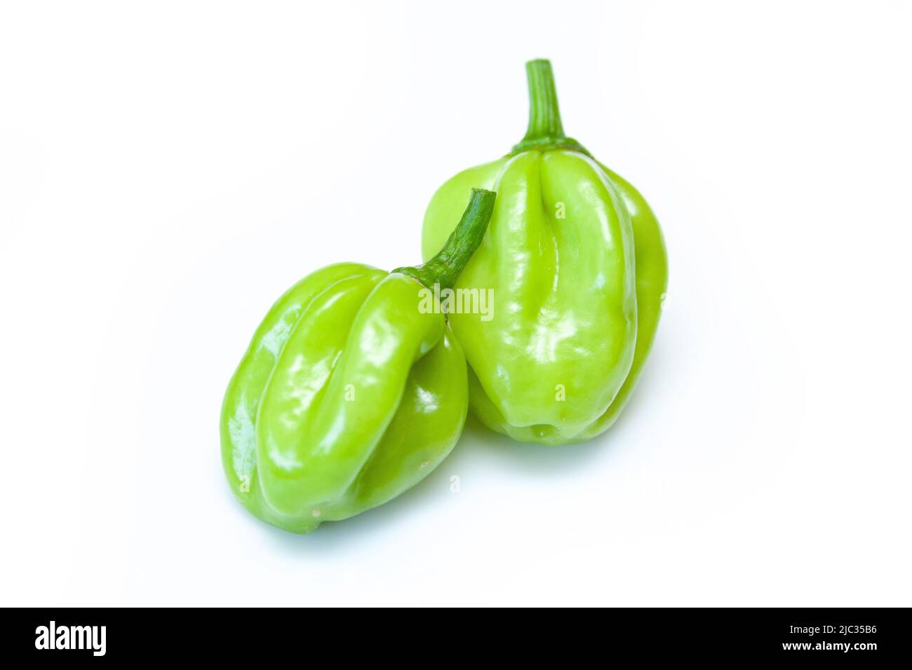 Poivrons Scotch Bonnet isolés sur fond blanc de studio Banque D'Images