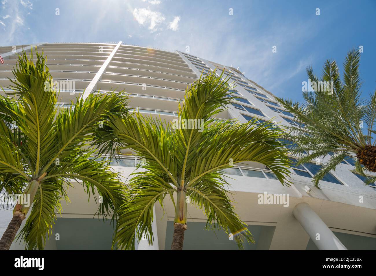 Vue sur le bâtiment moderne de condominium à travers les palmiers luxuriants avec ciel bleu vif. Banque D'Images