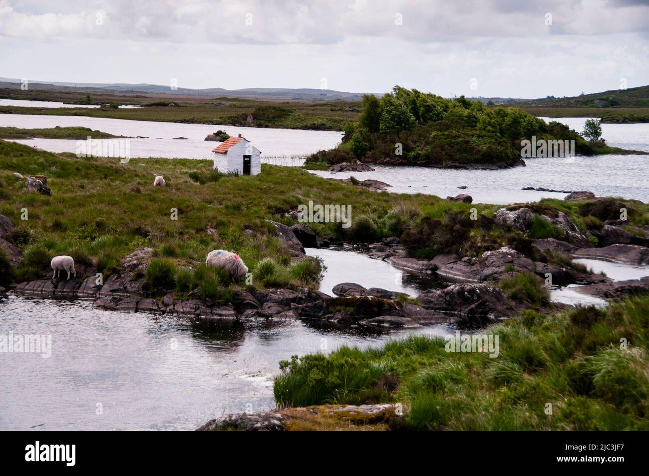 Îles intérieures et criques dans le Connemara, Irlande. Banque D'Images