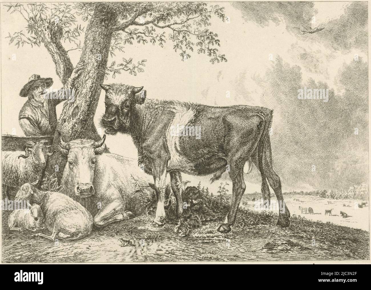Un taureau se tient près d'un arbre. A gauche un fermier avec des moutons et une vache, Bull et fermier, imprimeur: Johannes Mock, (mentionné sur l'objet), après: Paulus Potter, pays-Bas, 1825, papier, gravure, h 191 mm × l 152 mm Banque D'Images