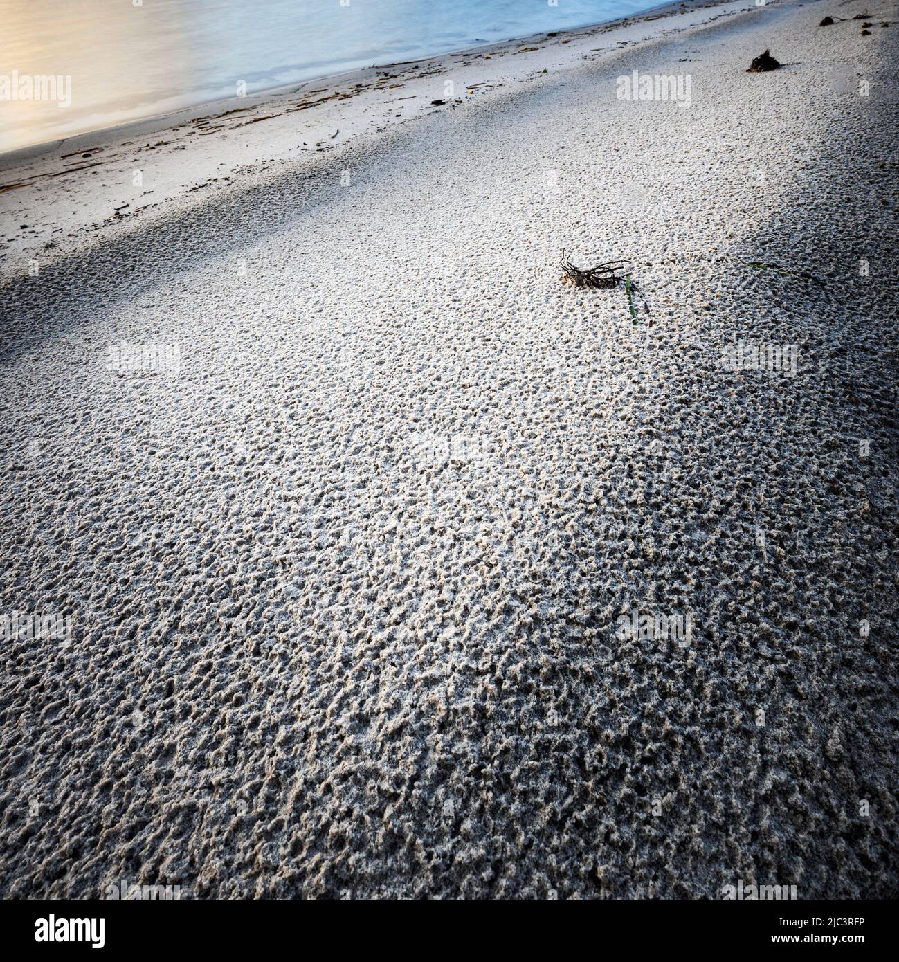 lumière du matin sur les grains fins de sable avec de l'eau sur la côte centrale de nsw Banque D'Images