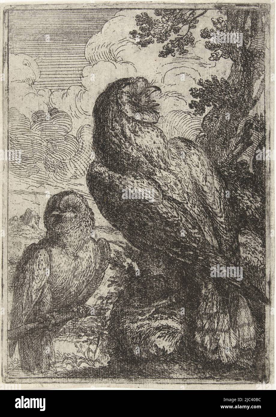 Deux hiboux assis en face sur les branches d'un arbre, deux hiboux, imprimeur: Peeter Boel, Peeter Boel, inconnu, 1642 - 1674, papier, gravure, h 182 mm × l 128 mm Banque D'Images