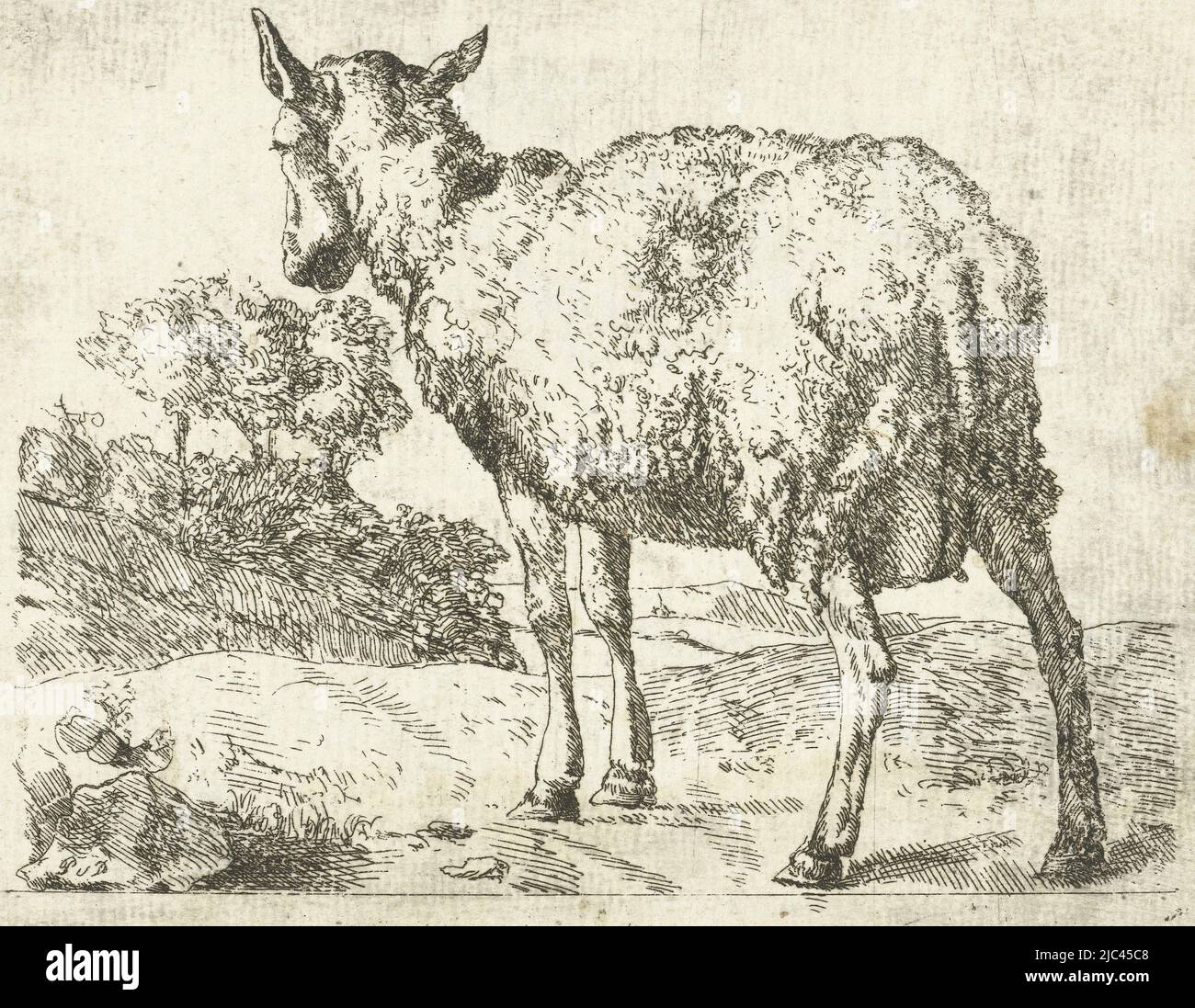 Copie, en miroir, de la cinquième impression de la série de moutons de  Marcus de Bye, mouton debout, vu de derrière, imprimerie: Anonyme, Marcus  de Bye, 1657 - c. 1800, papier, gravure,