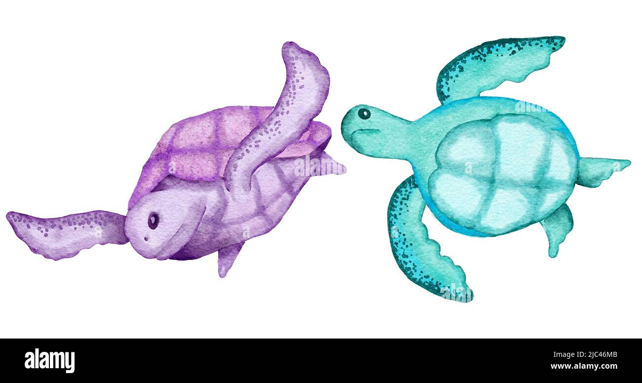 Illustration aquarelle de la tortue dans les couleurs bleu turquoise violet, océan mer faune sous-marine. Style marin de plage d'été, corail vie nature Banque D'Images