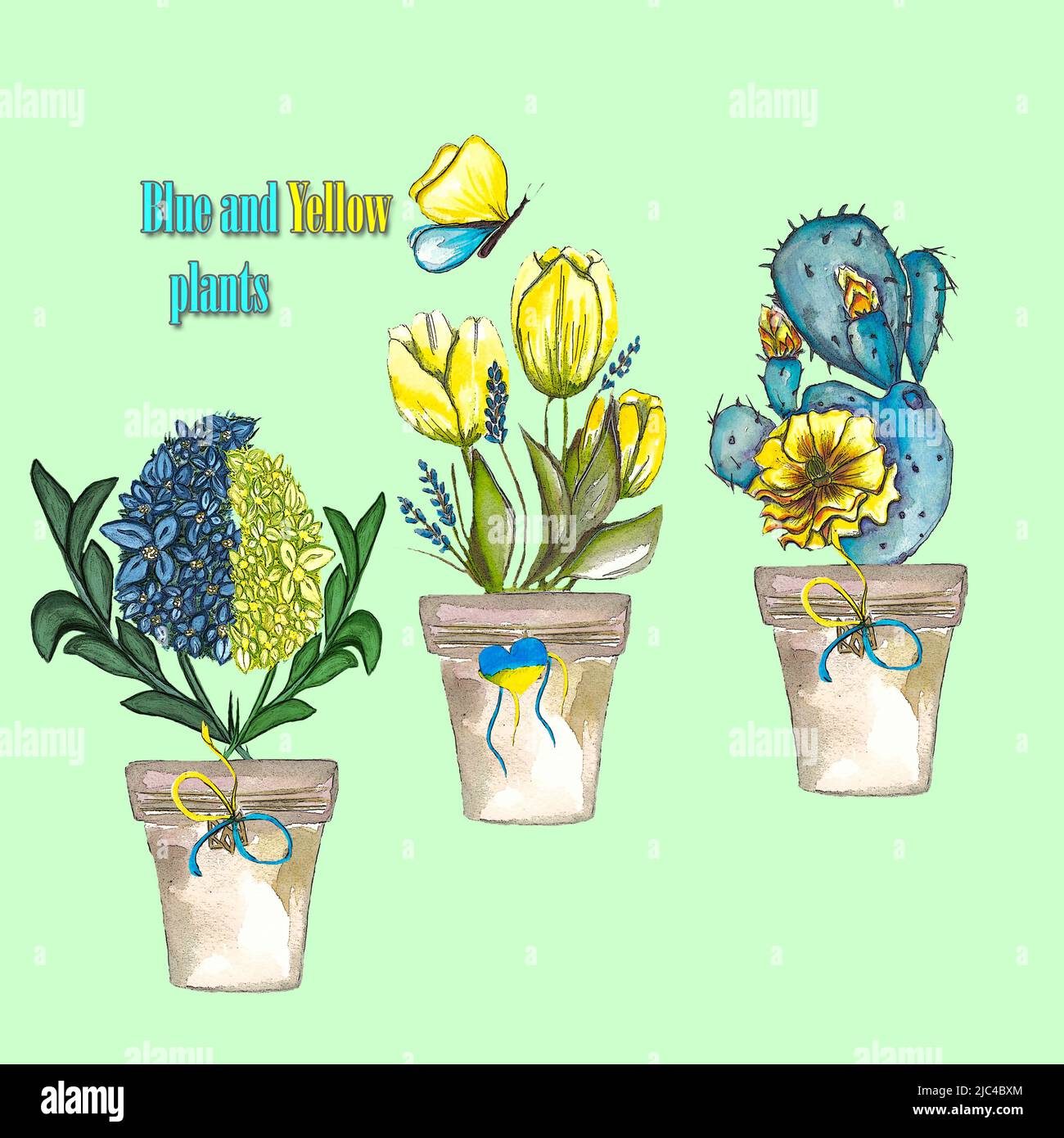 Ensemble de plantes bleues et jaunes en pots avec des symboles ukrainiens, cactus, tulipes, fleurs colorées, soutenir l'Ukraine Banque D'Images