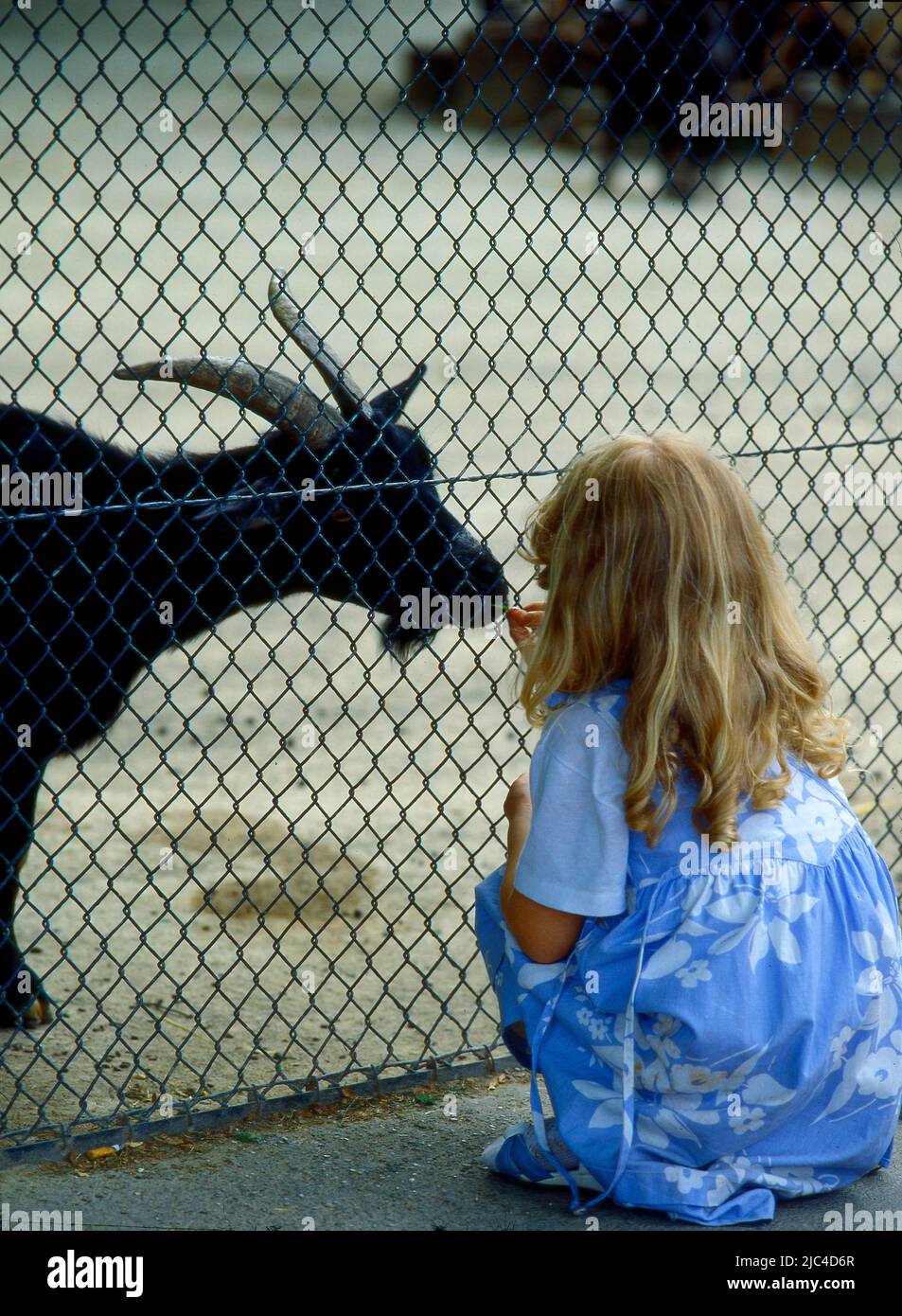 Petite fille et chèvre, Zoo, petite fille et nounou chèvre Banque D'Images