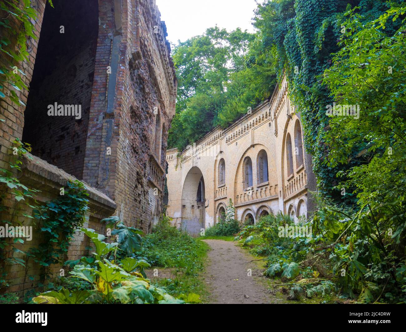 Forteresse abandonnée dehors, citadelle boisée ruinée Tarakaniv, Ukraine Banque D'Images
