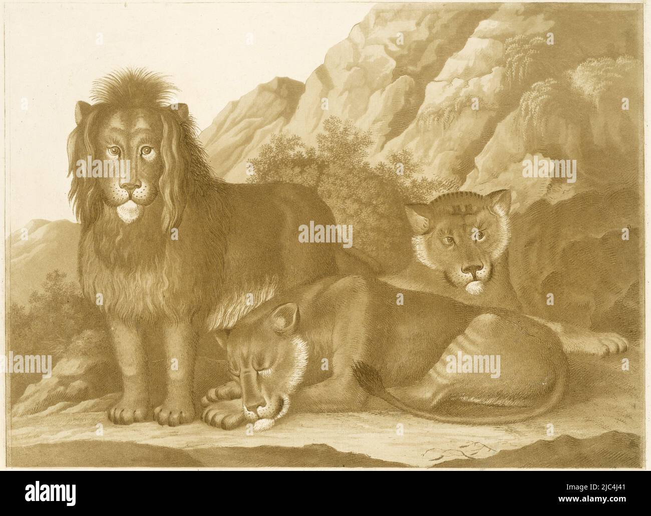 Un lion debout et deux lionesses couchée dans un paysage de montagne, Lion et deux lionesses, dessinateur: Isaac van Haastert, (signé par l'artiste), Delft, c. 1768 - 1834, papier, h 315 mm × l 404 mm Banque D'Images