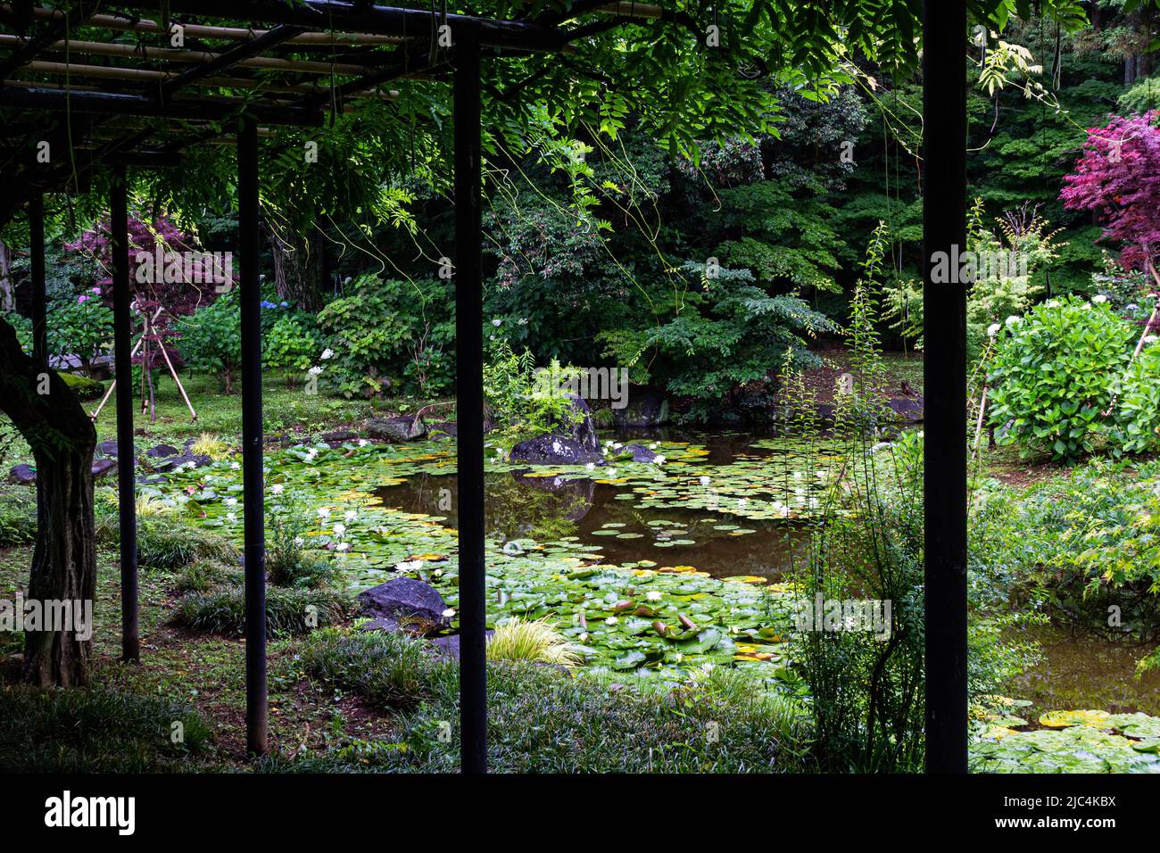 Jardin du temple Hondo-ji l'étang de Lotus - Hondoji est un temple construit dans la période Kamakura, et le nom du temple aurait été donné par Nichiren Banque D'Images